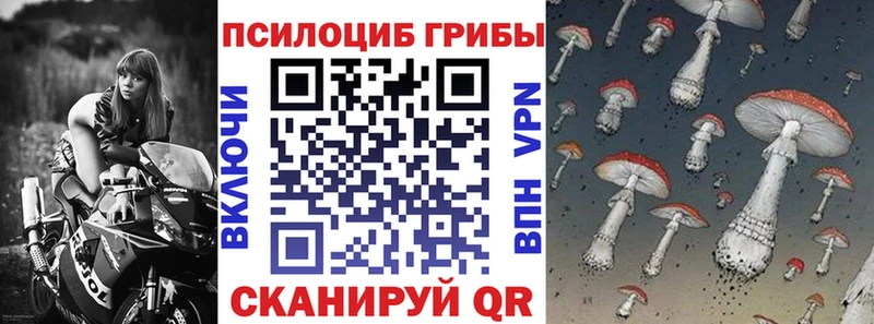 Псилоцибиновые грибы ЛСД  Михайловка 